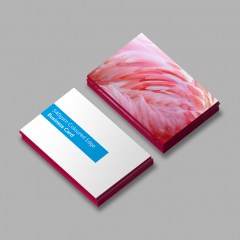 Reseller-BusinessCards-ColouredEdge